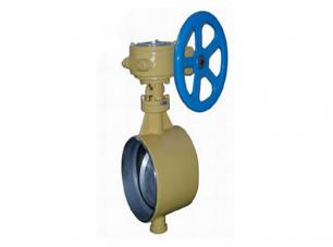 焊接保溫(wēn)蝶閥 焊接保溫蝶(die)閥